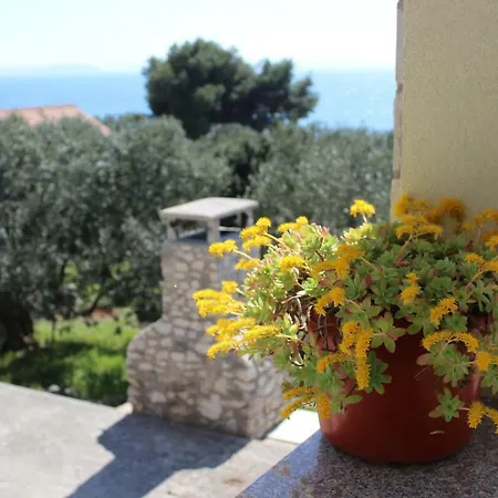 Robinzon Kuca Vila Valentina Holiday home Zadar